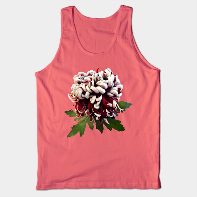 Chrysanthemums - Chrysanthemum Lili Gallon Tank Top by SusanSavad